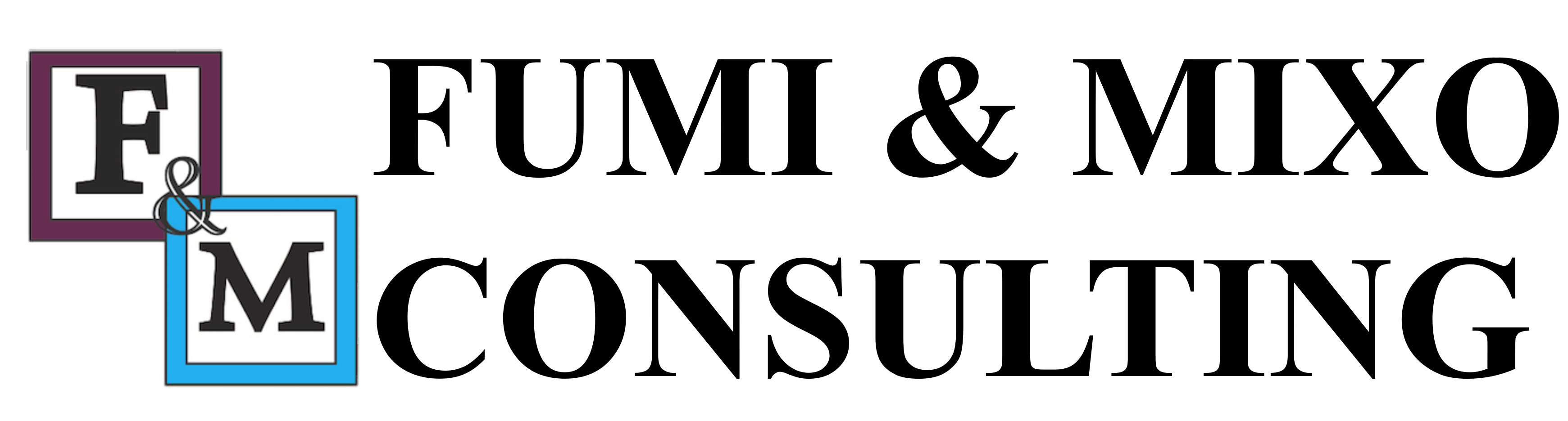 Fumi & Mixo Consulting – Forensic investigations Services – Pretoria | Johannesburg | Witbank | North West
